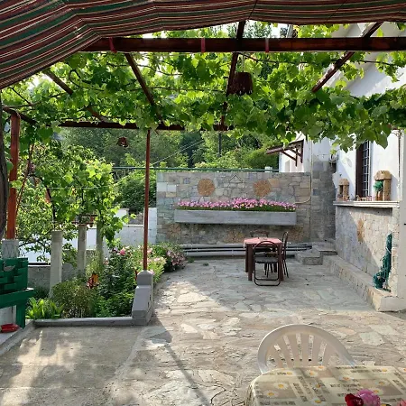 Η Θεα Traditional House Makrinitsa Exterior photo