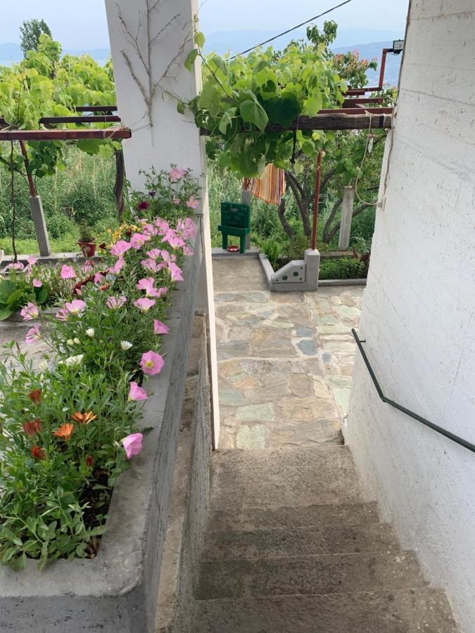 Holiday home η θεα Traditional House