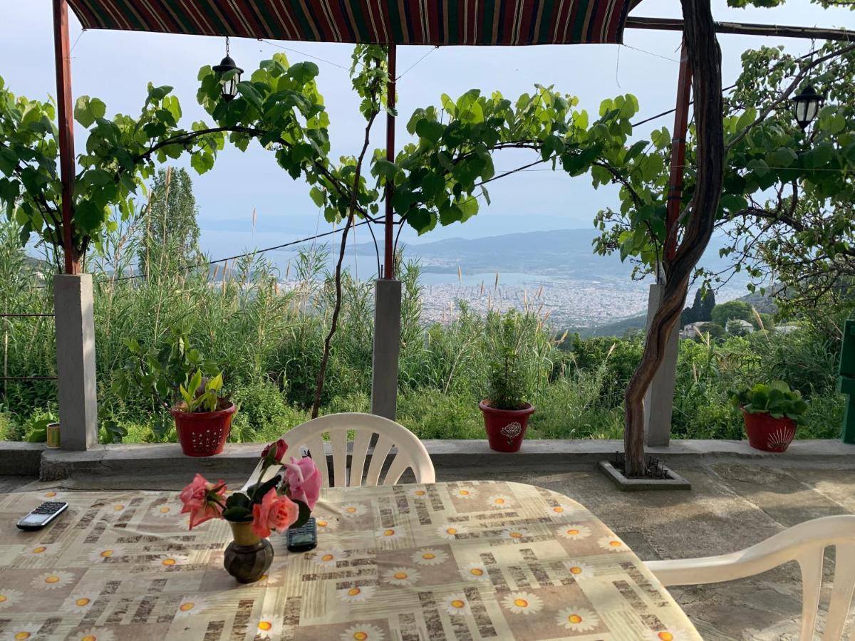 η θεα Traditional House Holiday home Makrinitsa